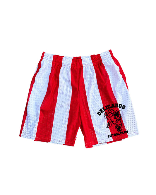 SUMMER STRIPE MESH SHORTS